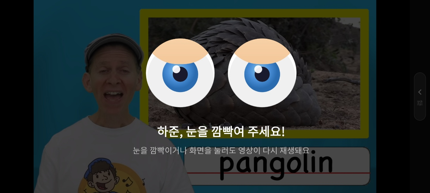 키즈크로스 깜빡임 유도 화면 — 눈을 깜빡여 주세요